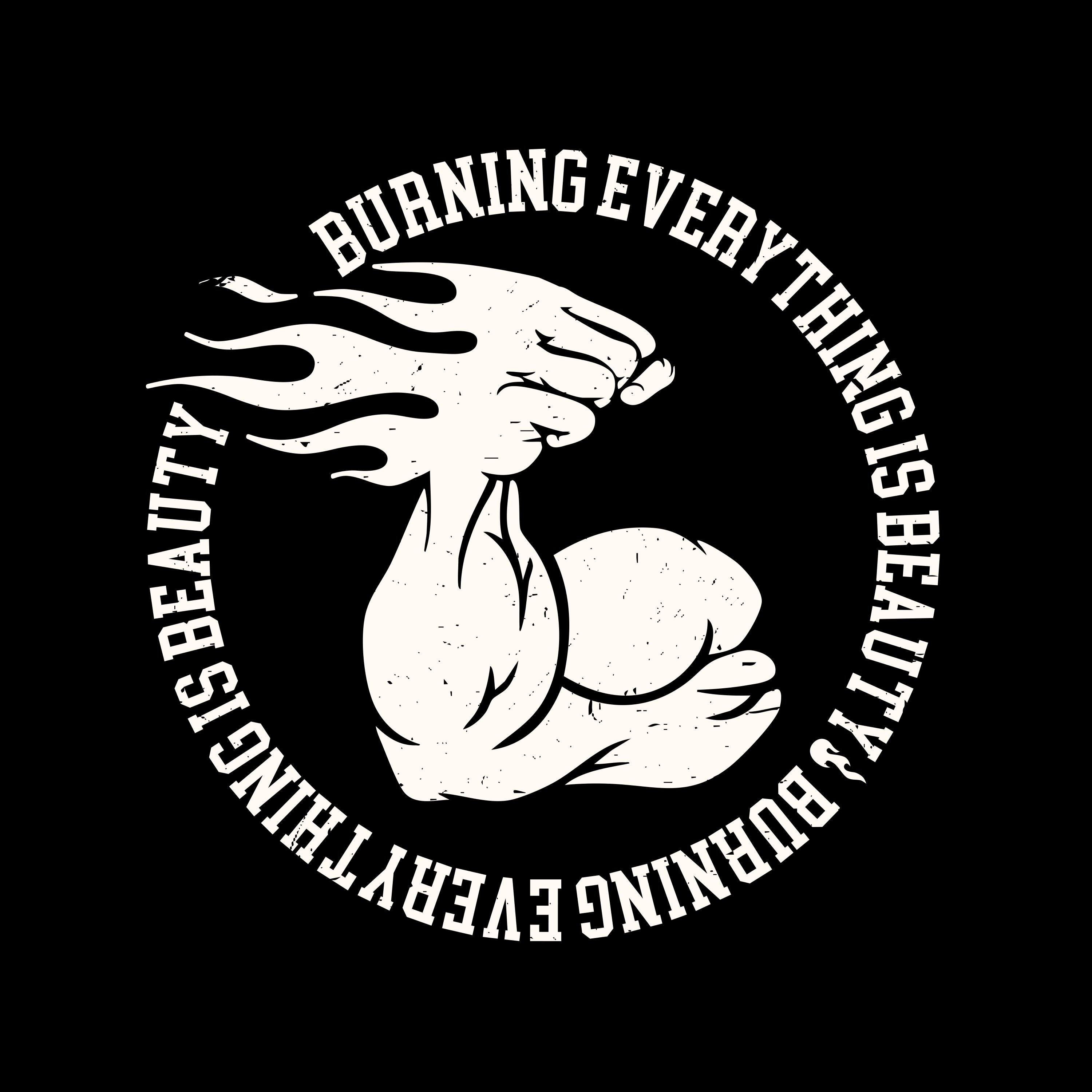 火拳装备库的LOGO