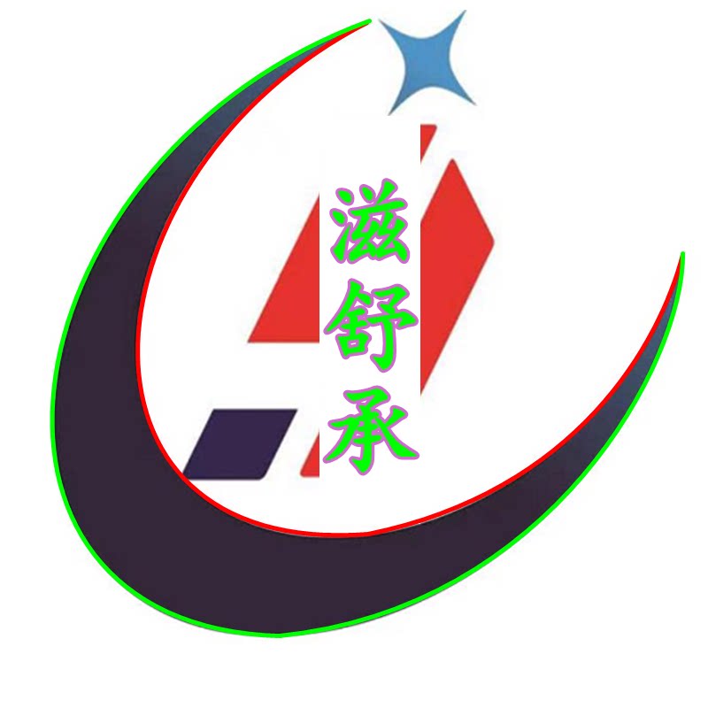 滋舒承医疗器械旗舰店的LOGO