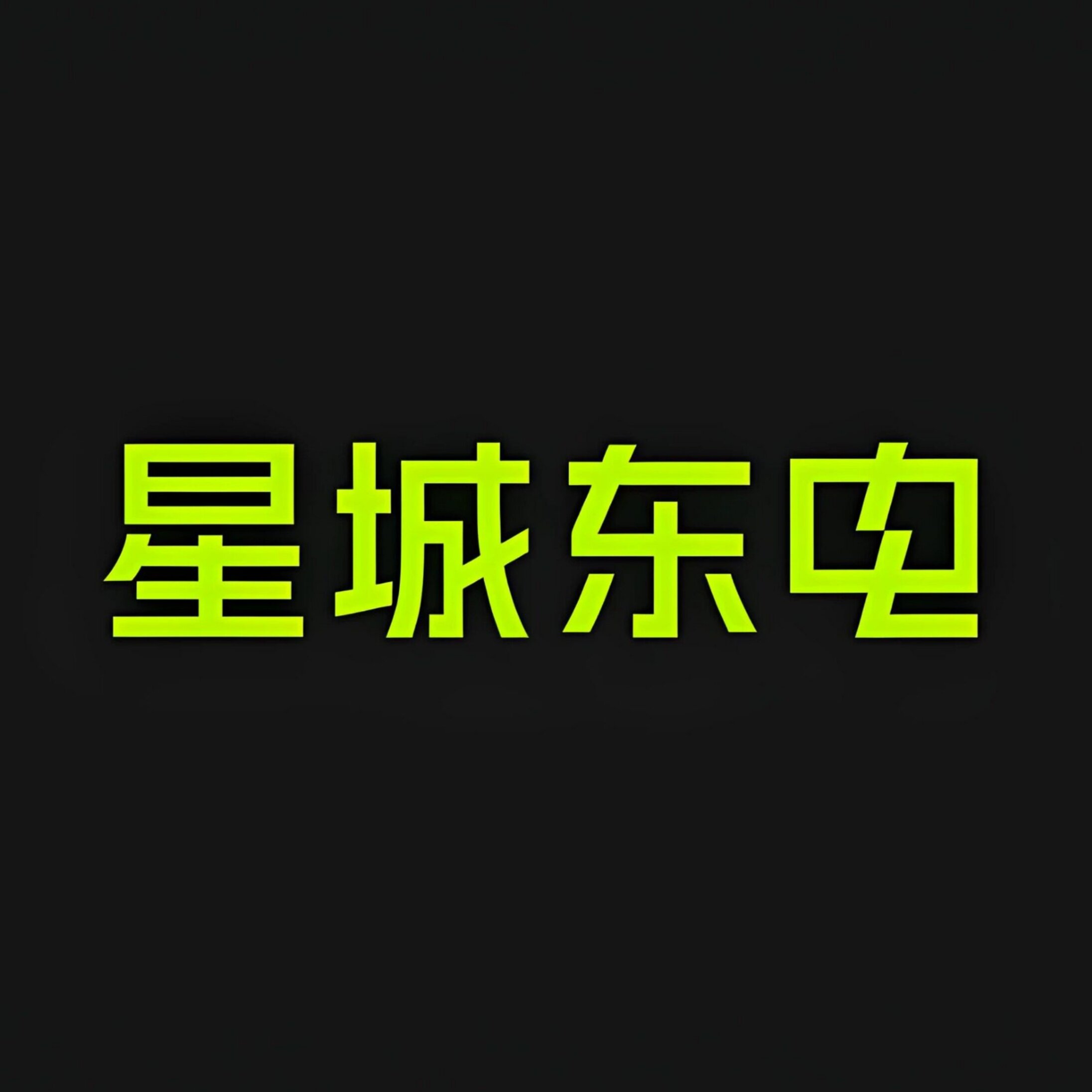 星城东电旗舰店