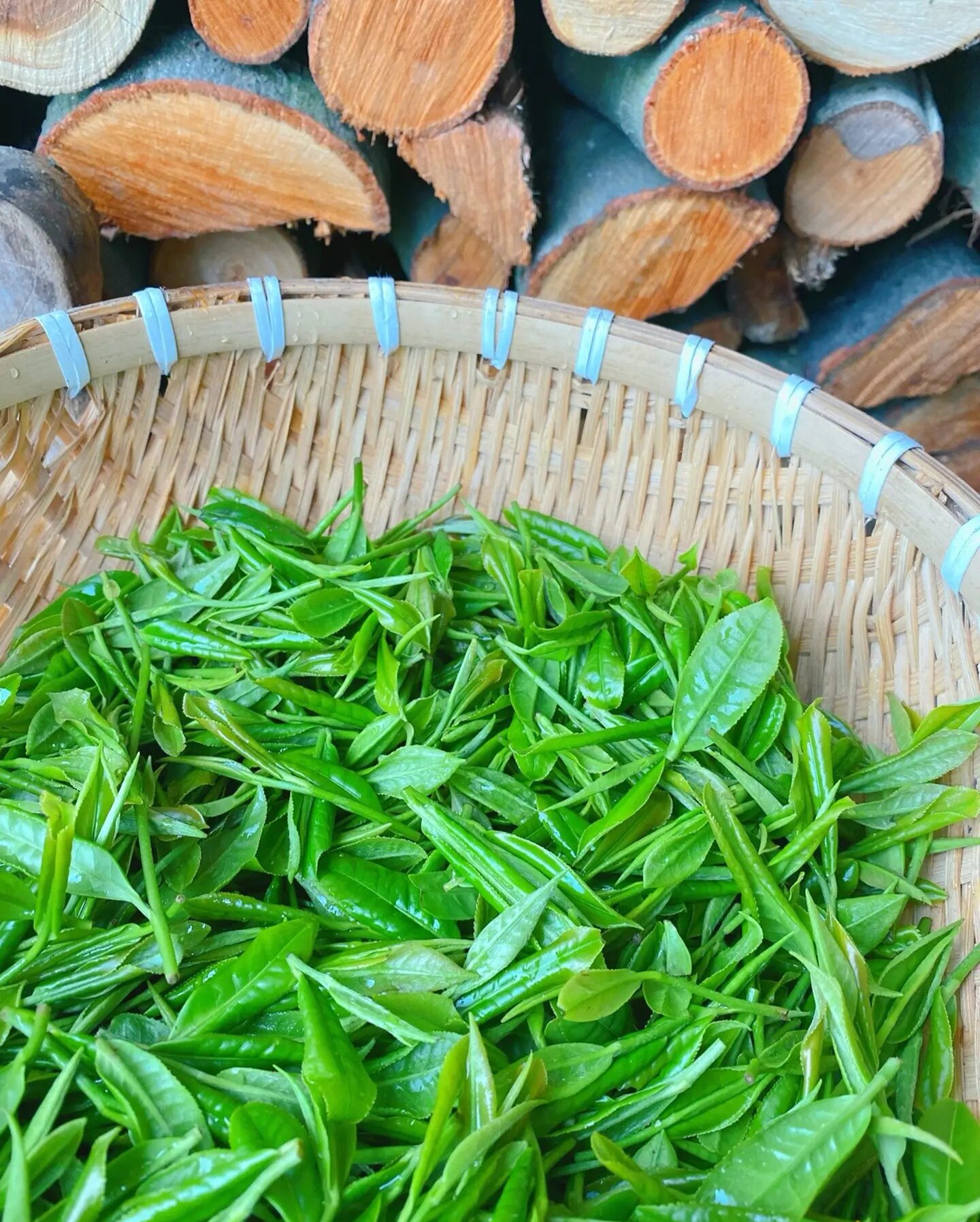 艾的茶铺