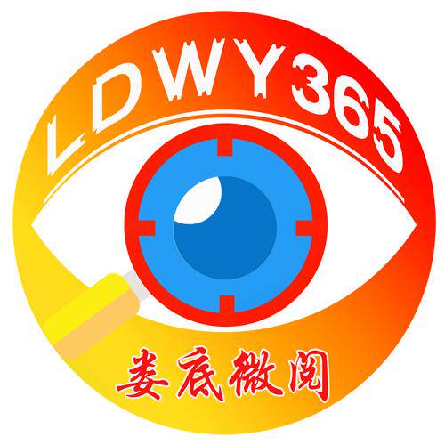 个人作品集网站设计案例费用与预算参考，附避坑建议