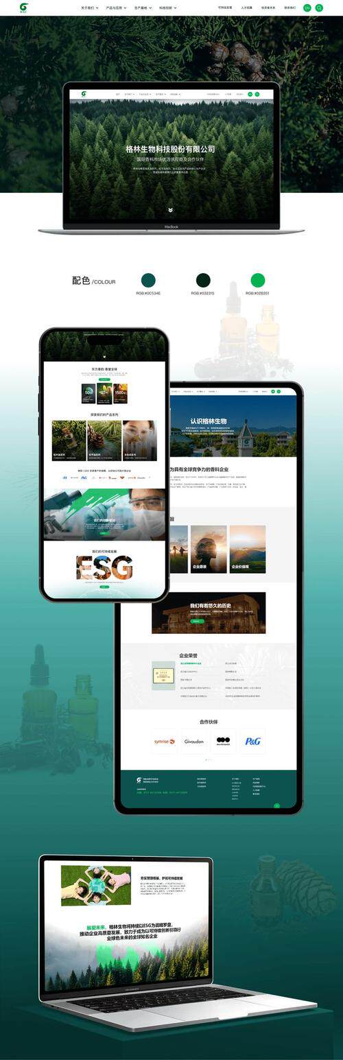 网站搭建的视频教程在线观看教程：从零基础入门到项目实战（附学习路线图）