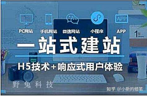 石家庄网站运营实战指南：从本地化策略到效果提升