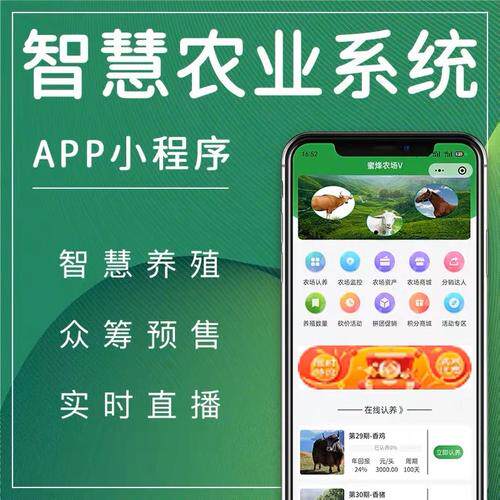 设计网站与网页设计软件收费模式对比：2025年成本参考指南