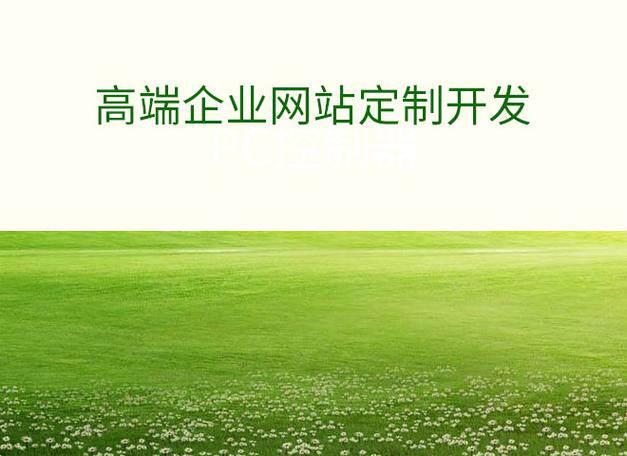 三亚网站建设百度推广技巧：关键词布局与内容优化实战指南