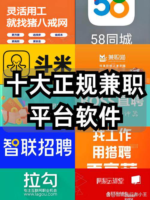 网站搭建方案免费下载软件哪个好？几款工具实测对比，帮你选对方向