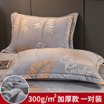 Coral velvet Pillowcase Pair of 2021 thick warm flange milk velvet pillow pillow case zipper