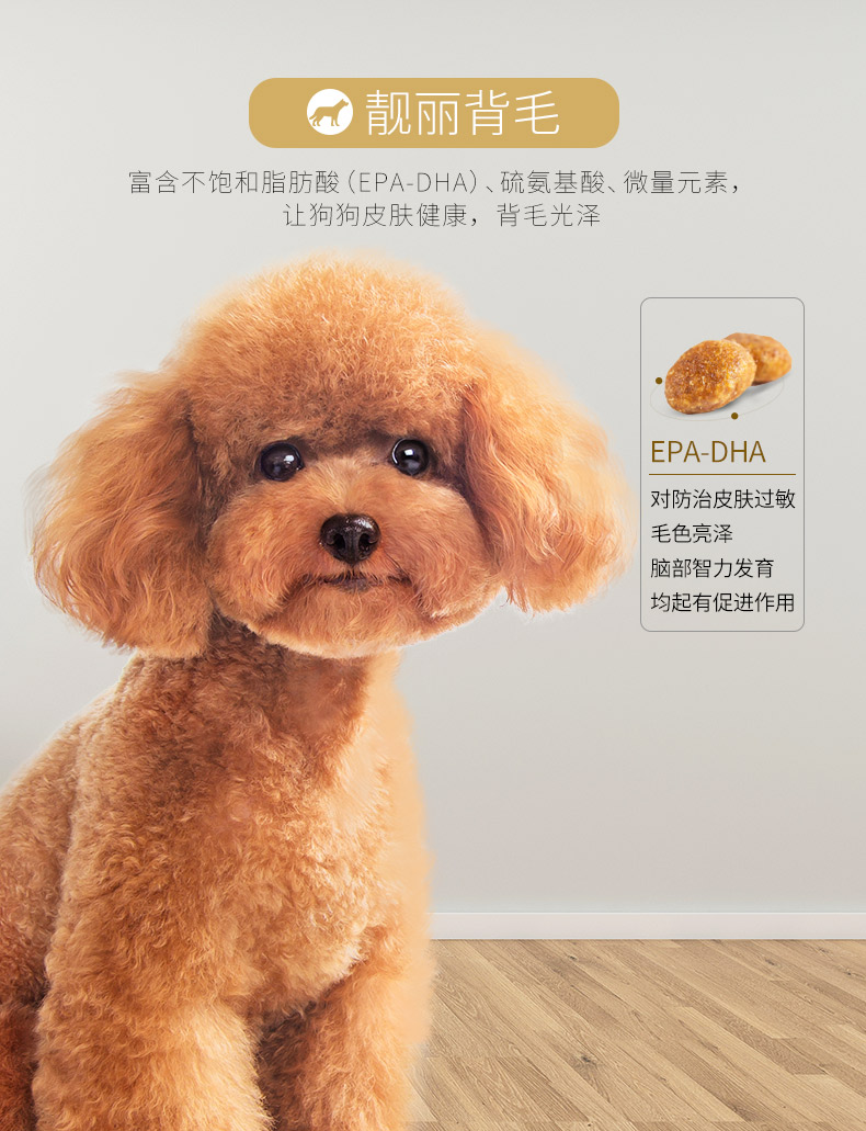 Chó con ăn thịt chó thực phẩm Teddy gấu đặc biệt nhỏ và vừa chó con chó con chó trưởng thành loại 4 kg - Chó Staples hạt anf