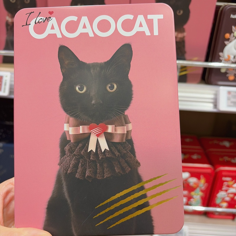 Shanghai [Takashimaya] Imported Chocolate Cacaocat/Monty/Snowman Relief Store Souvenirs