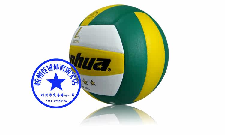 Ballon de volley-ball - Ref 2016028 Image 7