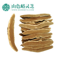 Mountain-coloured Yigu Lingzhi (gipint) 200g gift boxed lead gift giving gift to friends and relatives special