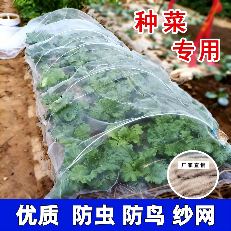 Insect-Proof Net for Growing Vegetables, 80 Mesh, Suitable for Greenhouses, Balcony Gardens, Vegetable Plots, Rural Yards, Agricultural Use, Thickened Fine Mesh Net Insect-Proof Net for Growing Vegetables, 80 Mesh, Suitable for Greenhouses, Balcony Gardens, Vegetable Plots, Rural Yards, Agricultural Use, Thickened Fine Mesh Net