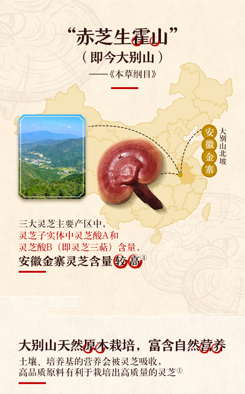 汤臣倍健 破壁灵芝孢子粉胶囊 60粒 图5