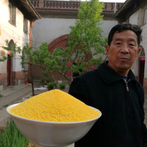 Shanxi farmers straight hair millet porridge small yellow rice new rice 9 catties millet grains Shanxi specialty coarse grains grains