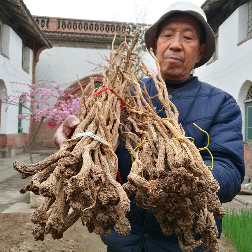 Wild Lube Dangshen Shanxi Changzhi Pyeong Upper Party Special Level Greater China Article Poverty Alleviation Without Sulphur Wild Party Dangshen When it is 250 gr 