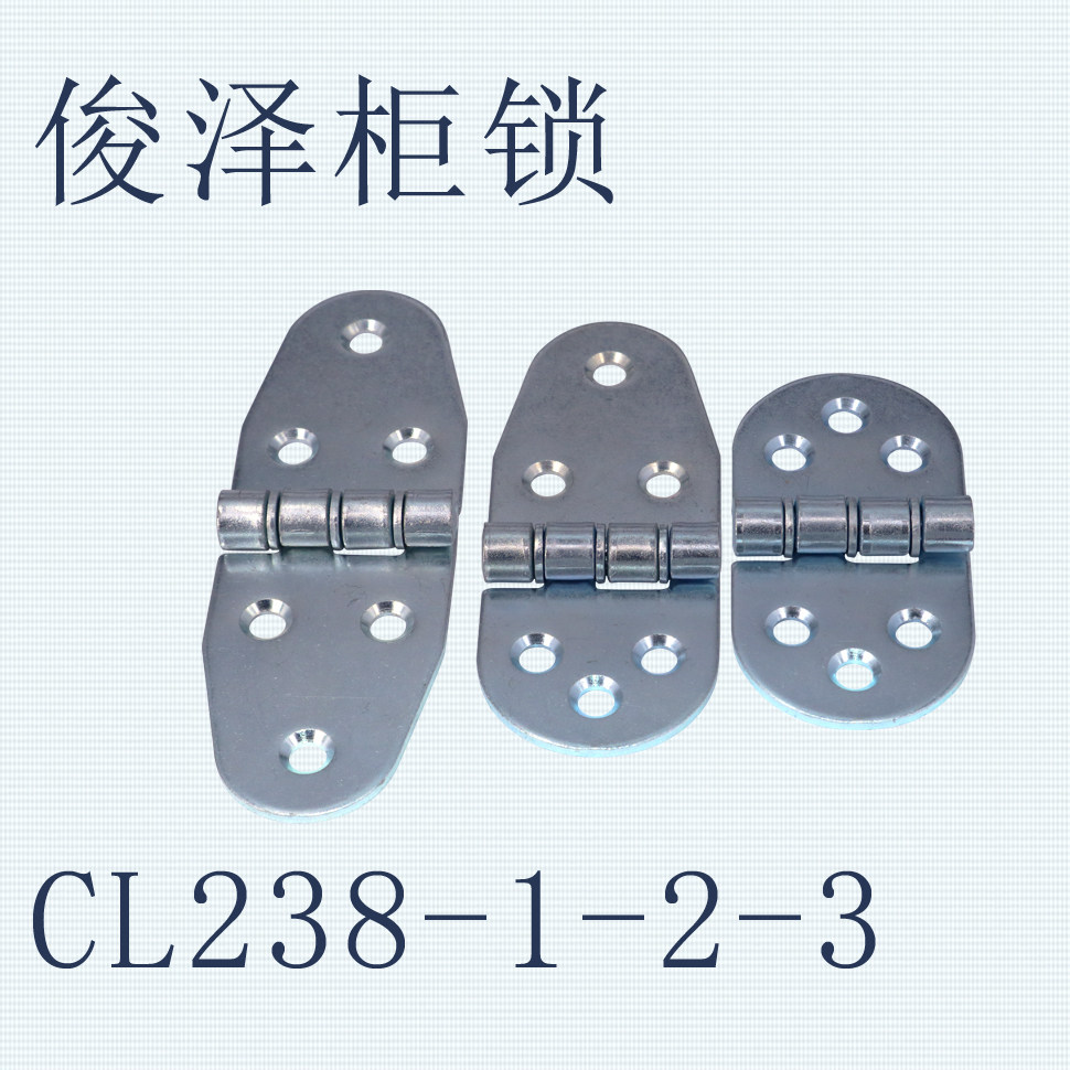Industrial equipment host shell hinge HL071 CL238-1-2-3 stainless steel hinge elliptical hinge