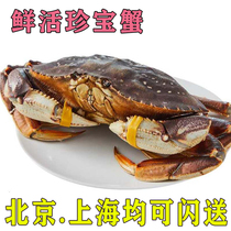 Beijing flash sent 2 pounds of a fresh treasure crab Emperor crab Bread crab Crab Prince Crab SF