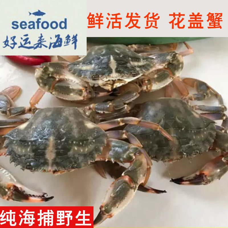 500g Beijing sparkling fresh and fresh flowers cover crab red crab Shuttle crab seafood crab seafood