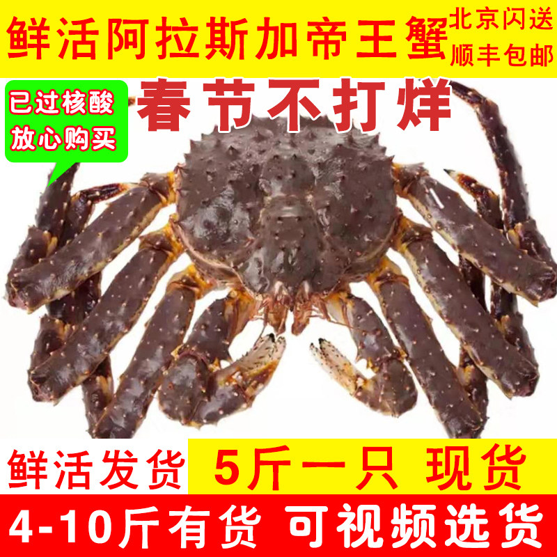 Beijing Flash Only select fresh king crab 4-10 kg spot Extra large emperor crab SF