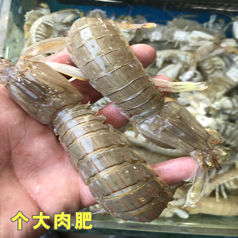 Beijing Sparkling Fresh Public Skin Shrimps Fresh Seafood Shrimp Crawling Fresh Pipa Shrimp Shrimp Nu Rich And Shrimpy Shrimps