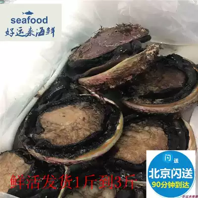 Beijing flash send fresh Australian abalone imported seafood Australian abalone Sabate hot pot