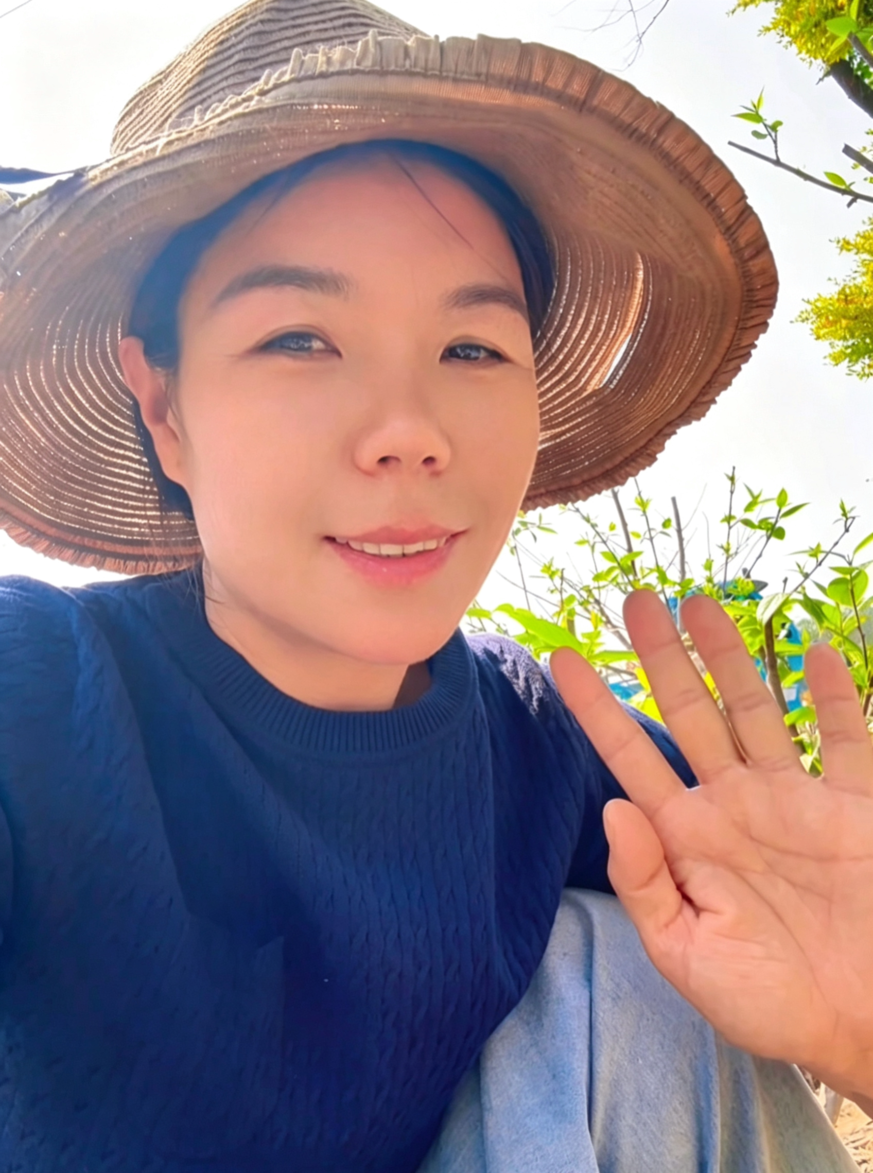 蜡梅姐姐鄢陵蜡梅