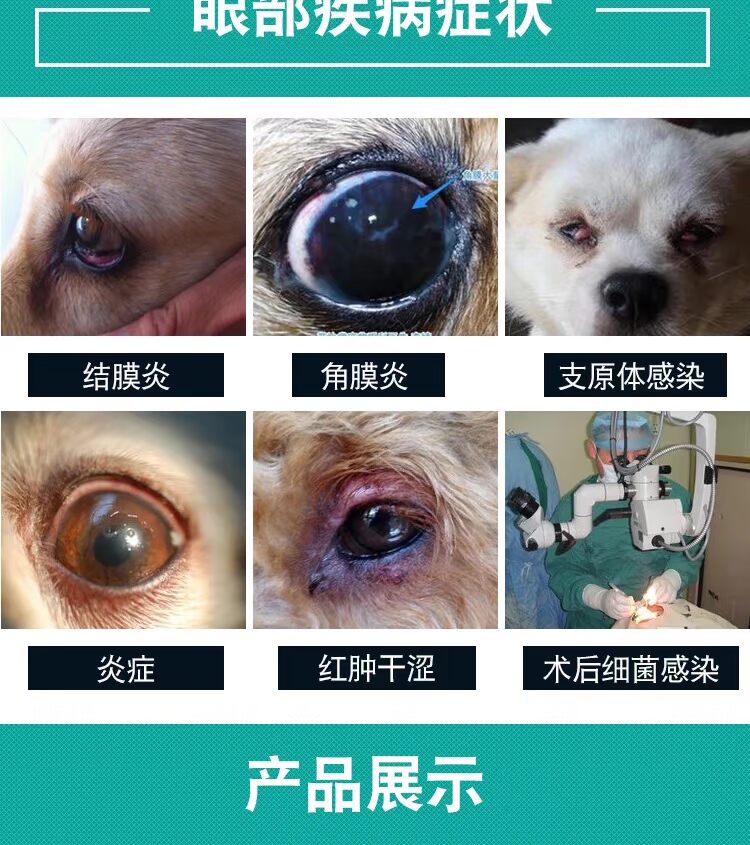 Mắt Elgin Beckang Pet Eye Drops Cat Eye Water Dog Eye Water Cat to Tear Marks Anti-viêm Viêm kết mạc - Thuốc nhỏ mắt thuốc nhỏ mắt collydexa