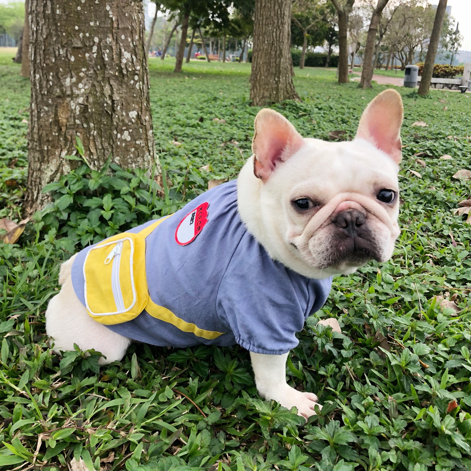 Spring and summer cotton and linen Japanese school uniform cute schoolbag T-shirt French Dou Schnauzer Teddy fat dog Shiba Inu dog clothes