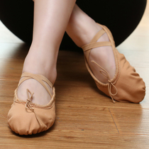  Red dance shoes dance shoes womens soft-soled practice shoes childrens dance shoes womens adult cat claw shoes ballet shoes women