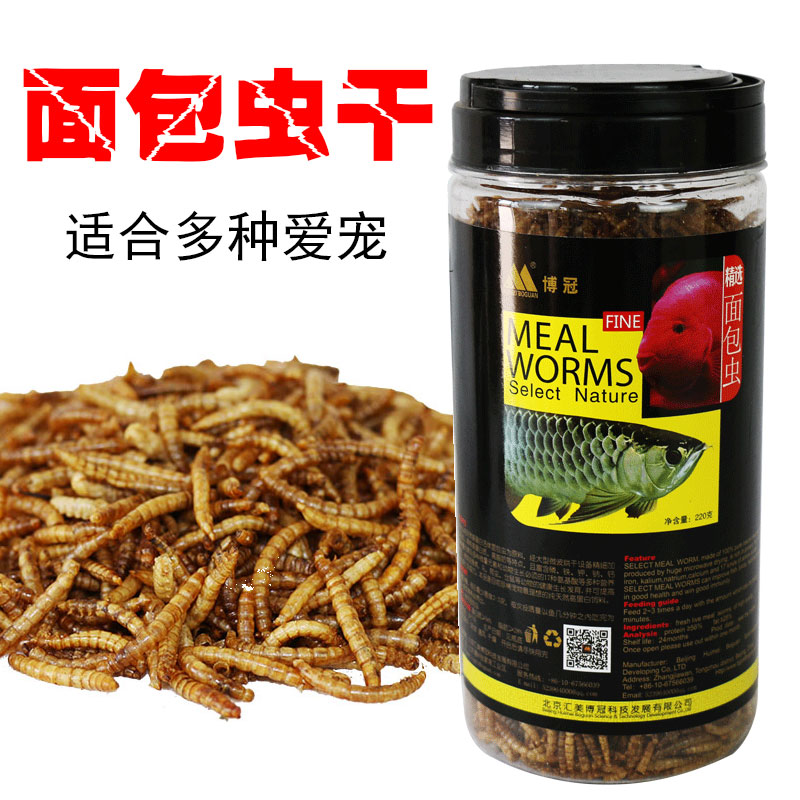 Bread Worm Dry Parrot Fish Grain Turtle Ornamental Fish Feed Hamster Food Stinging Hedgehog Food Bird Grain Golden Silk Bear Snacks