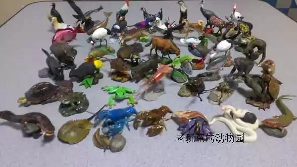 海洋堂日本天然紀念物全50種+隱藏1款全套51種模型