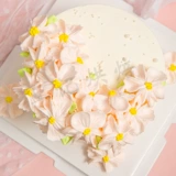 伊利 Кремовый масляный крем, корейское белое масло, практика
