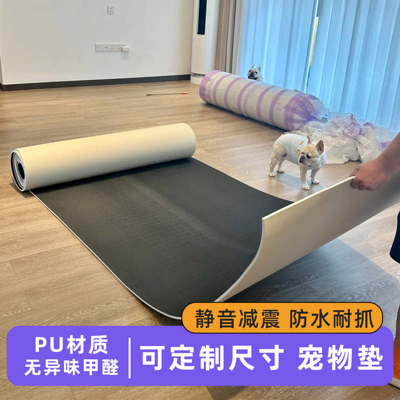 Anti-Scratch Pet Floor Mat, Anti-Cat Scratch Carpet for Living Room, Waterproof, Urine-Proof, No-Wash, Wipeable, Soundproof, Dog Sleeping Mat