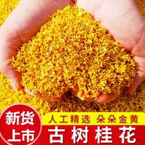 Guihua tea 10g Guilin Rich Fragrant Golden Guihua Dried Extra Fresh Dried Guihua Tea