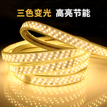 Led lamp with strip living-room ceiling super-bright decorative patch three-color changing light home strip 220v line light