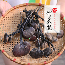 Yunnan deep mountain picking natural long-necked wild bamboo Ganoderma lucidum small red Ganoderma lucidum purple Ganoderma Super 250g