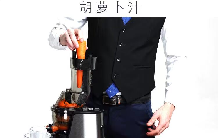 máy ép cầm tay Máy ép trái cây đường kính lớn Bolema LD-1509 nhà máy ép trái cây và rau quả tự động đa chức năng tốc độ chậm máy xay bosch