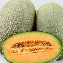 Ultra-hybrid high-yield sweet reticulated cantaloupe seeds Cantaloupe melon seeds Seeds Four Seasons Melon Fruit South North South North Planting