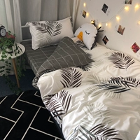 Ночной клен