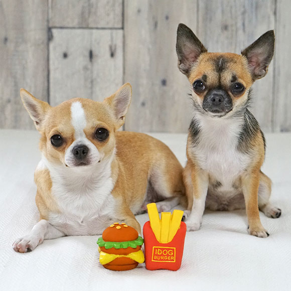Japan Imported Pet Pooch Toy Idog Natural Latex Soft Little Burger Chocolate Scents Vocal