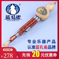 Blue peacock playing type mahogany tube natural gourd silk C down B tune small D G F tune Yunnan National Musical Instrument