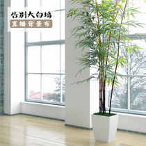 Direct Sowing Room Decoration Background Cloth Male And Female Anchor Photo Photography Props Wall Cloth Brief Atmospheric Net Red Background Wall