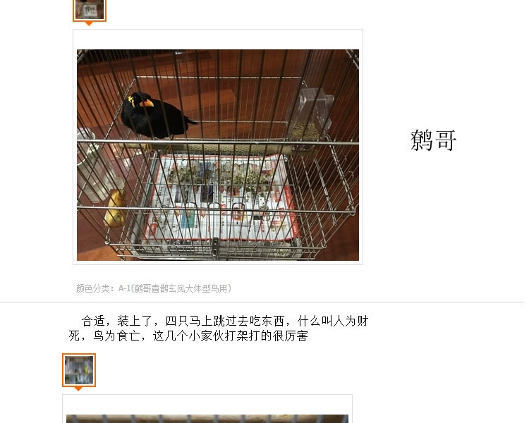 Dụng cụ của Bird King starling chống rắc rắc Đồ dùng bảo quản chim Hộp đựng thức ăn cho chim device thiết bị cho ăn của anh ấy - Chim & Chăm sóc chim Supplies thức ăn chim trĩ