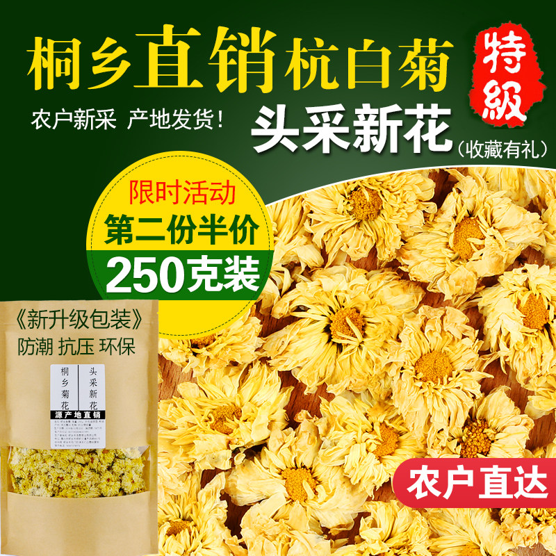 Chrysanthemum Flower Tea Authentic Hangzhou White Chrysanthemum Native to Chrysanthemum Flowers Bulk White Chrysanthemum Flowers Bulk White Chrysanthemum 250g Tea