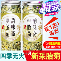 Buy one get one free Chrysanthemum tea head picking authentic fetal chrysanthemum Wang Tongxiang Hang white chrysanthemum Gong chrysanthemum tea canned premium new flower