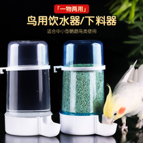 Parrot food box anti-splash-proof automatic feeding drinker bird feeder bird feeder water feeder bird cage accessories bird supplies