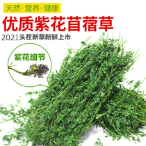 2021 new grass alfalfa grass pet rabbit eating grass lob rabbit food feed supplies rabbit hay rabbit grain