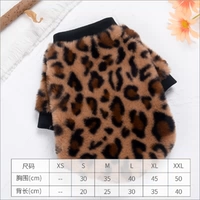 Демисезонная цветная толстовка