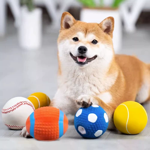 Той -мяч для собак, шлифование щетки щенков, щенки щенка, неразумный артефакт, медведь, золотисто -ретривер