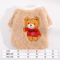 Сионки цвет на № 21